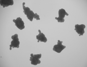 Intestinal Organoids