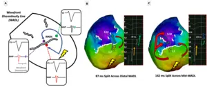 Mapping Image