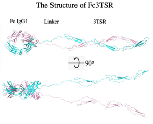 The Structure of Fc3TSR