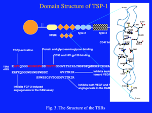 The Structure of TSR2