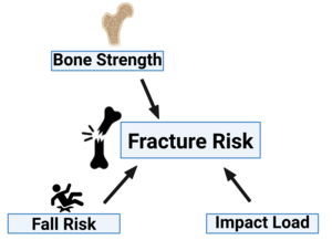 fracture risk