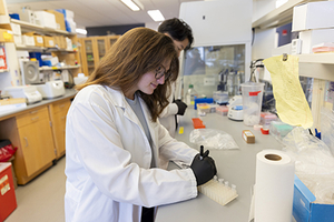 Lab staff at work