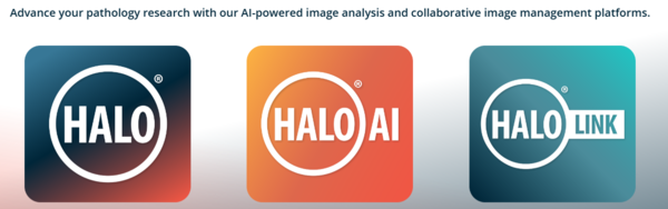 halo