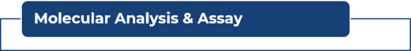 Molecular Analysis Assay