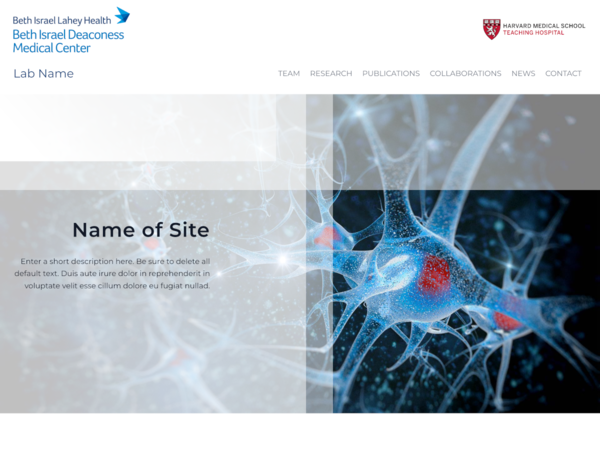 BIDMC Huntington Template