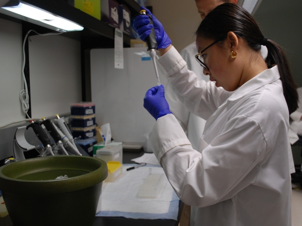 Our summer student in white lab coat and blue gloves working in a lab