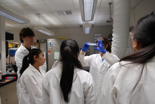 Five scientists in white lab coats and blue gloves