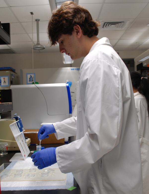A student wearing a lab coat and gloves is working in a lab
