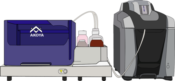 multiplex-if-panini-and-signalstar