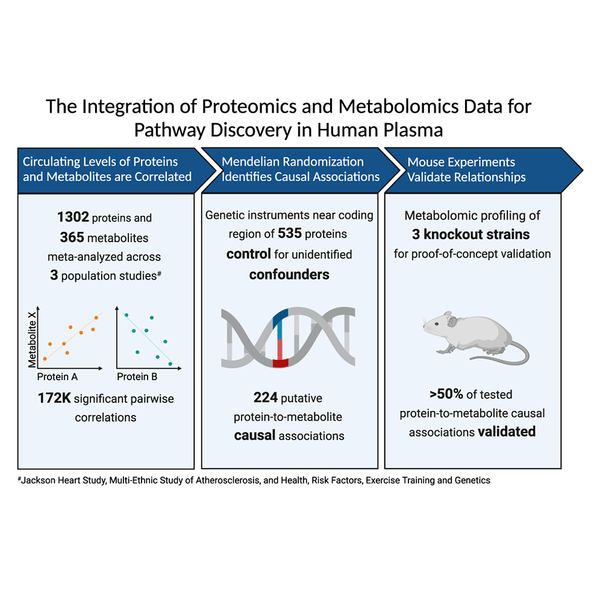 Graph depicting the Integration pf Proteomics and Metabolomics Data for Pathway Discovery in Human Plasma