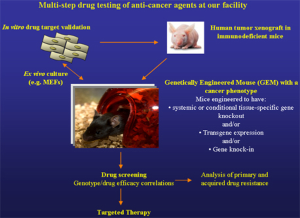 drug-testing