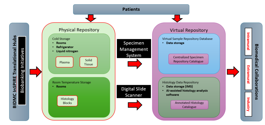 Flowchart showing process of virtual repository for biobank specimens