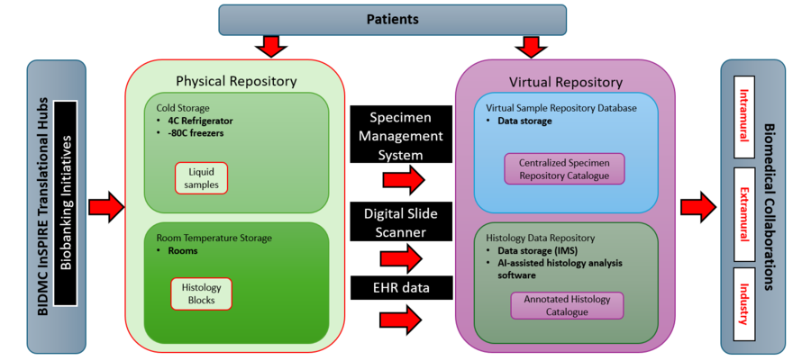 Flowchart of physical and virtual repository data management system.