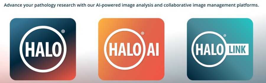 halo