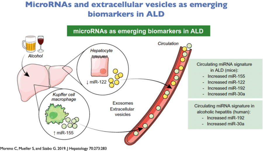 Extracellular Vesicles