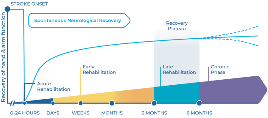 Stroke rehabilitation over time