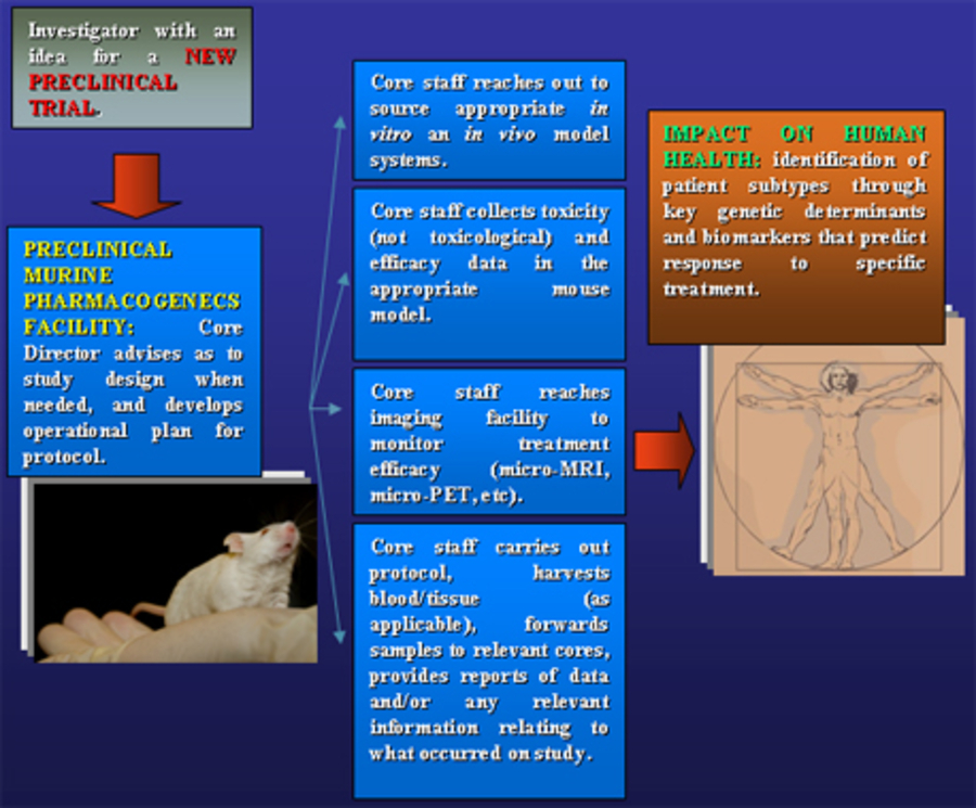 core-facility-flow-chart