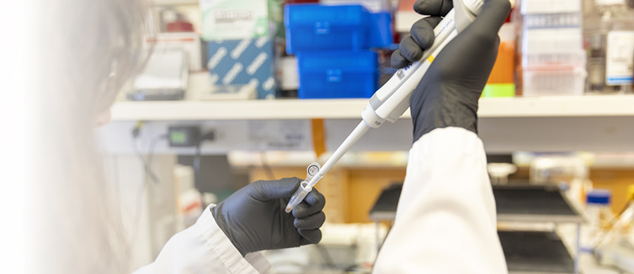 Lab image