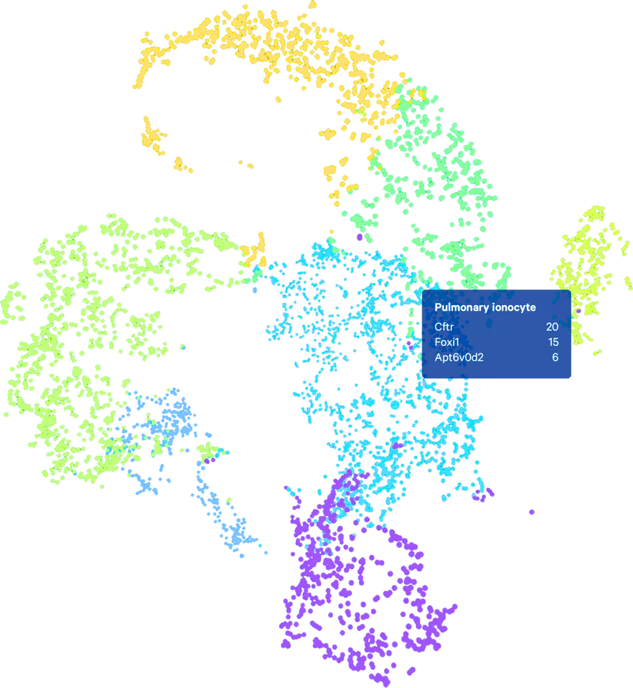 singlecellgeneexpression