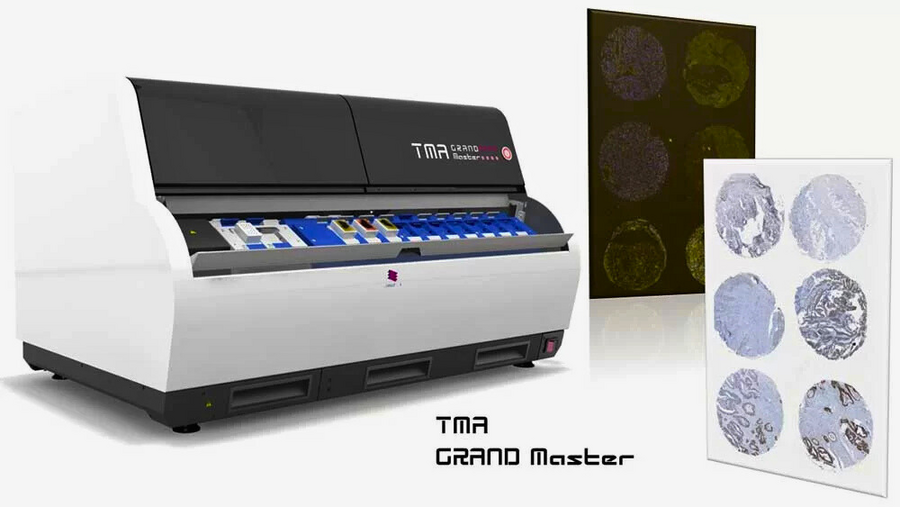tma6